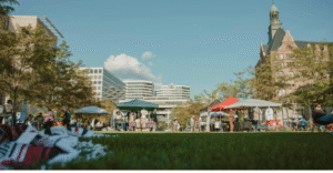 Read more about the article The Importance of Local Businesses in Economic Development