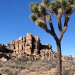 Entorno Law and Its Commitment to Public Interest Advocacy