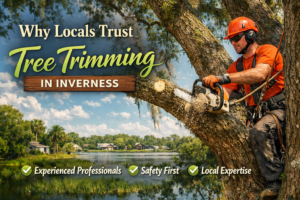 Read more about the article Why Locals Trust Tree trimming in Inverness