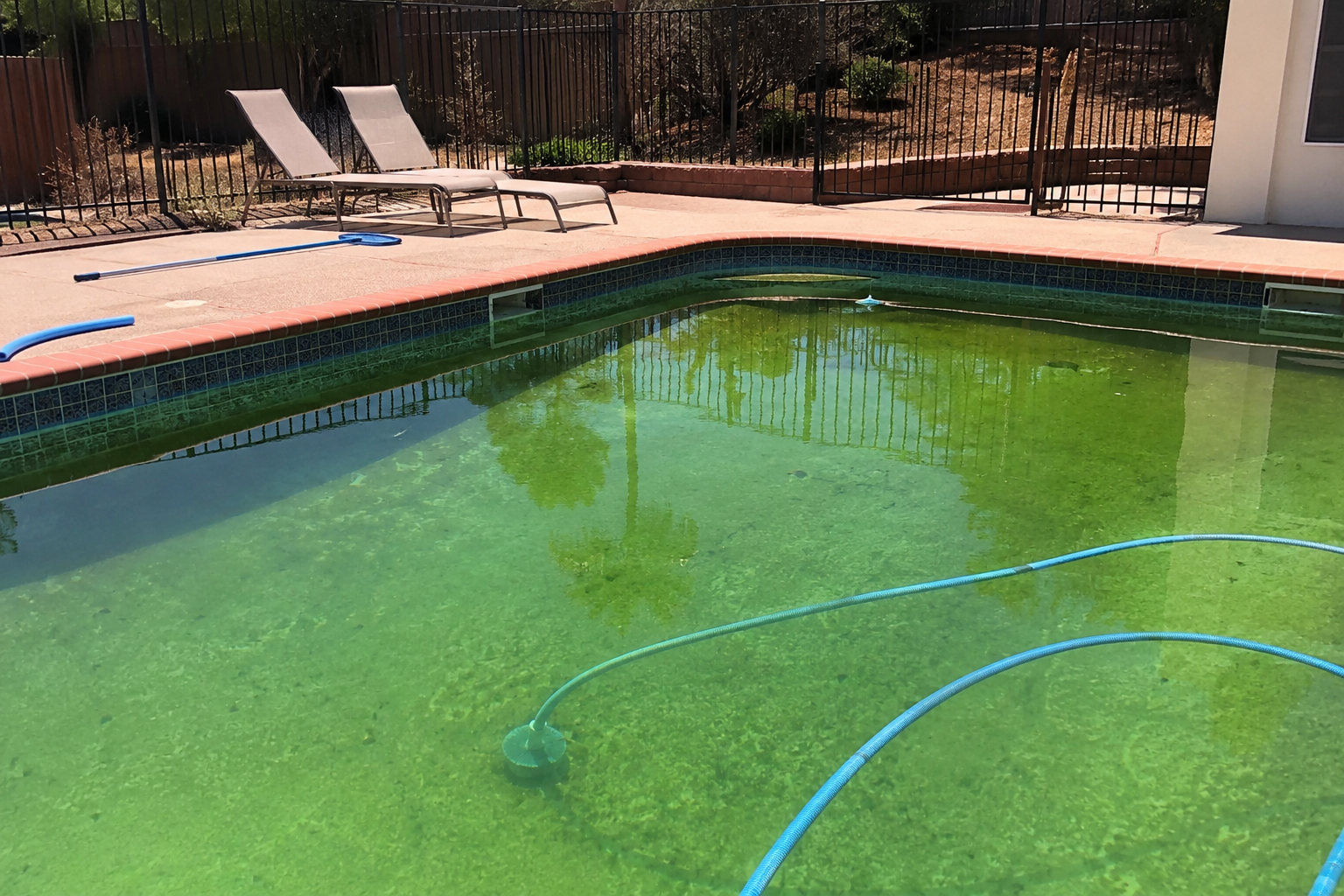 Read more about the article Emergency Guide to Pool Cleaning Services Las Vegas