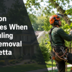 Common mistakes when scheduling tree removal