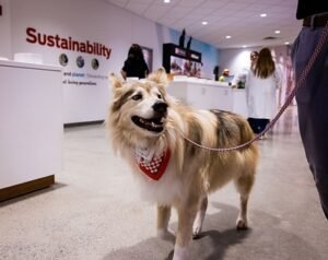 Read more about the article Purina Opens New Pet Food Factory in Ohio, Its First Built from the Ground Up in More Than 50 Years