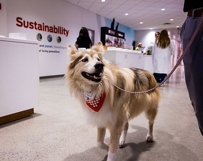 You are currently viewing Purina Opens New Pet Food Factory in Ohio, Its First Built from the Ground Up in More Than 50 Years