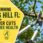 tree trimming spring hill fl