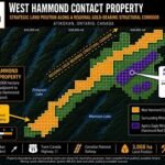 FALCON GOLD ADVANCES DISTRICT-SCALE EXPLORATION STRATEGY WITH WEST HAMMOND FIELD PROGRAM
