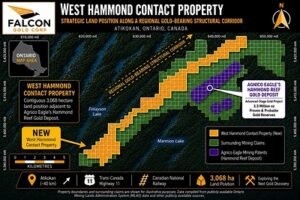 Read more about the article FALCON GOLD ADVANCES DISTRICT-SCALE EXPLORATION STRATEGY WITH WEST HAMMOND FIELD PROGRAM