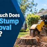 tree stump