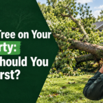 tree removal